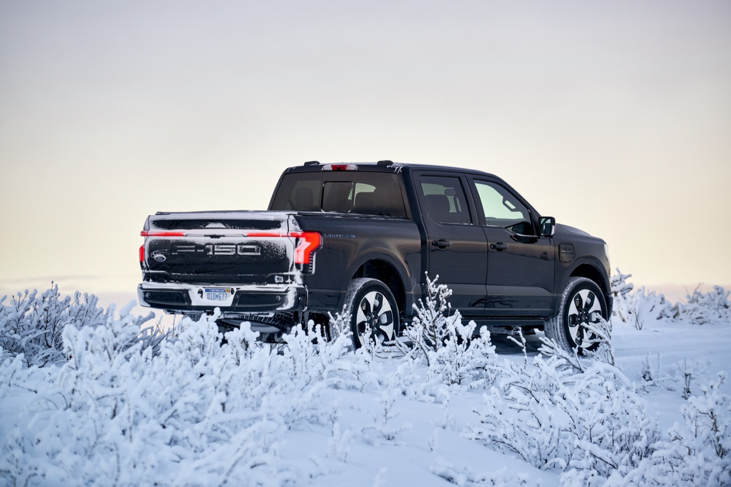 Ford F-150 Lighting (rear)