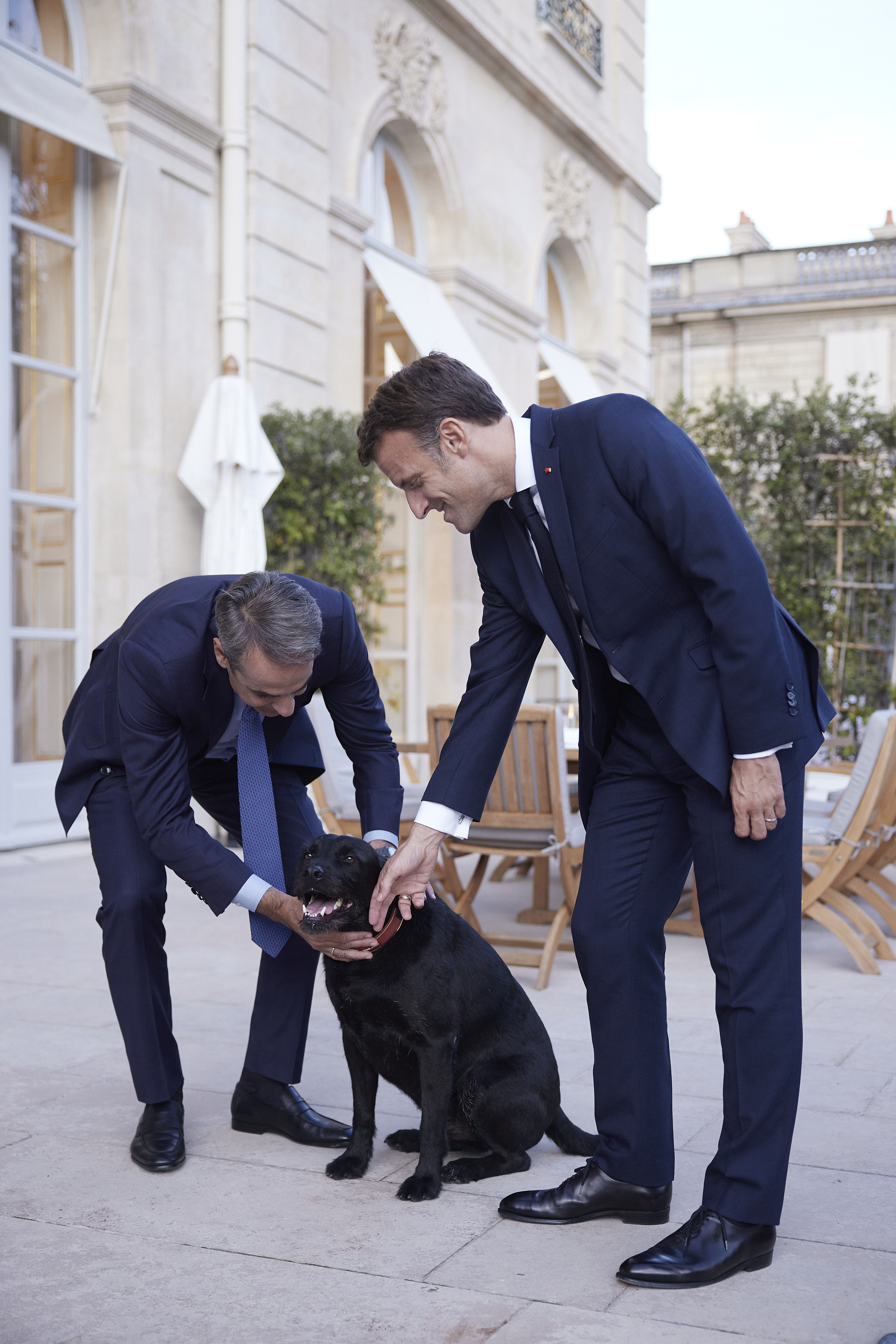 ΝΕΜΟ
