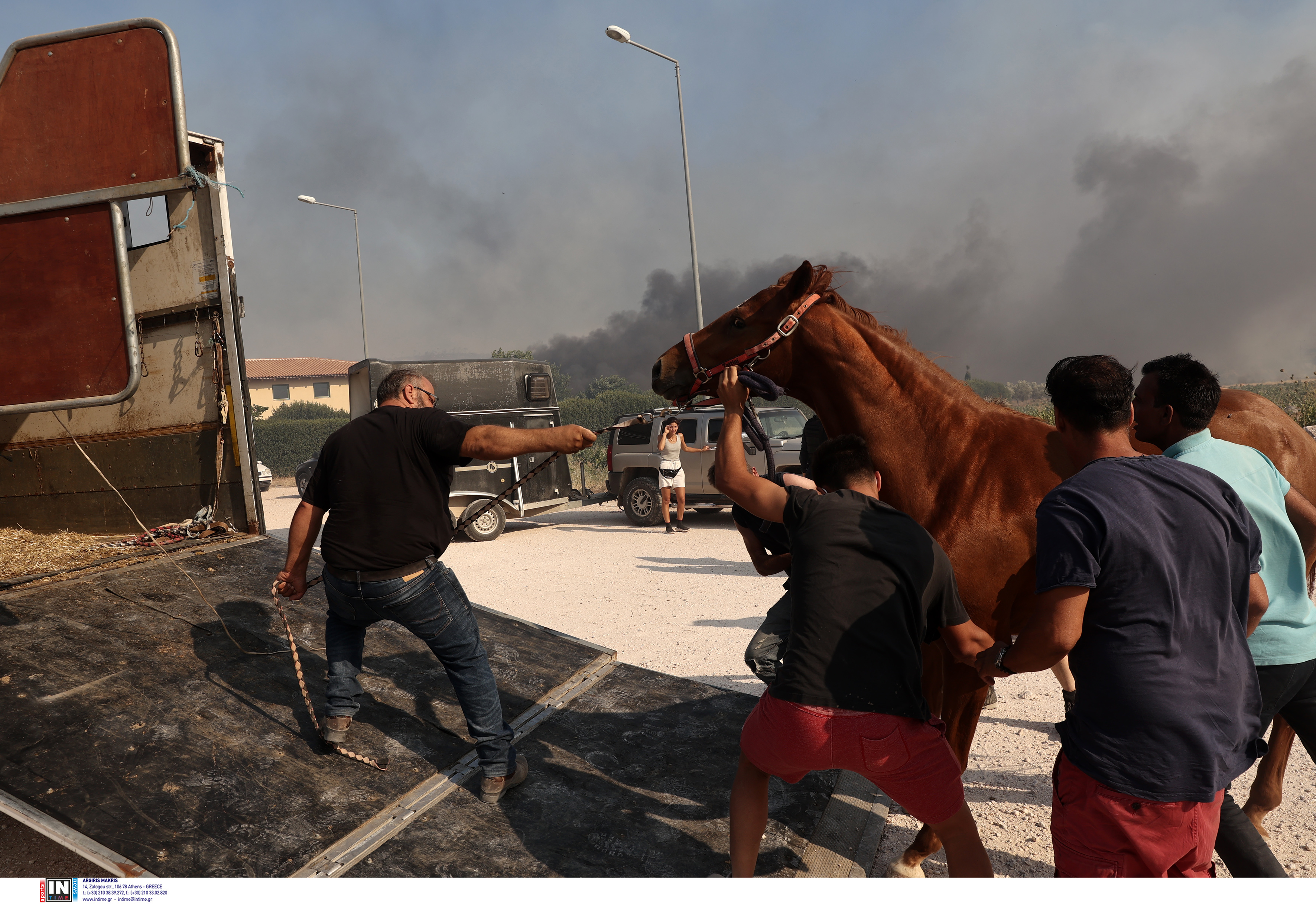 άλογα