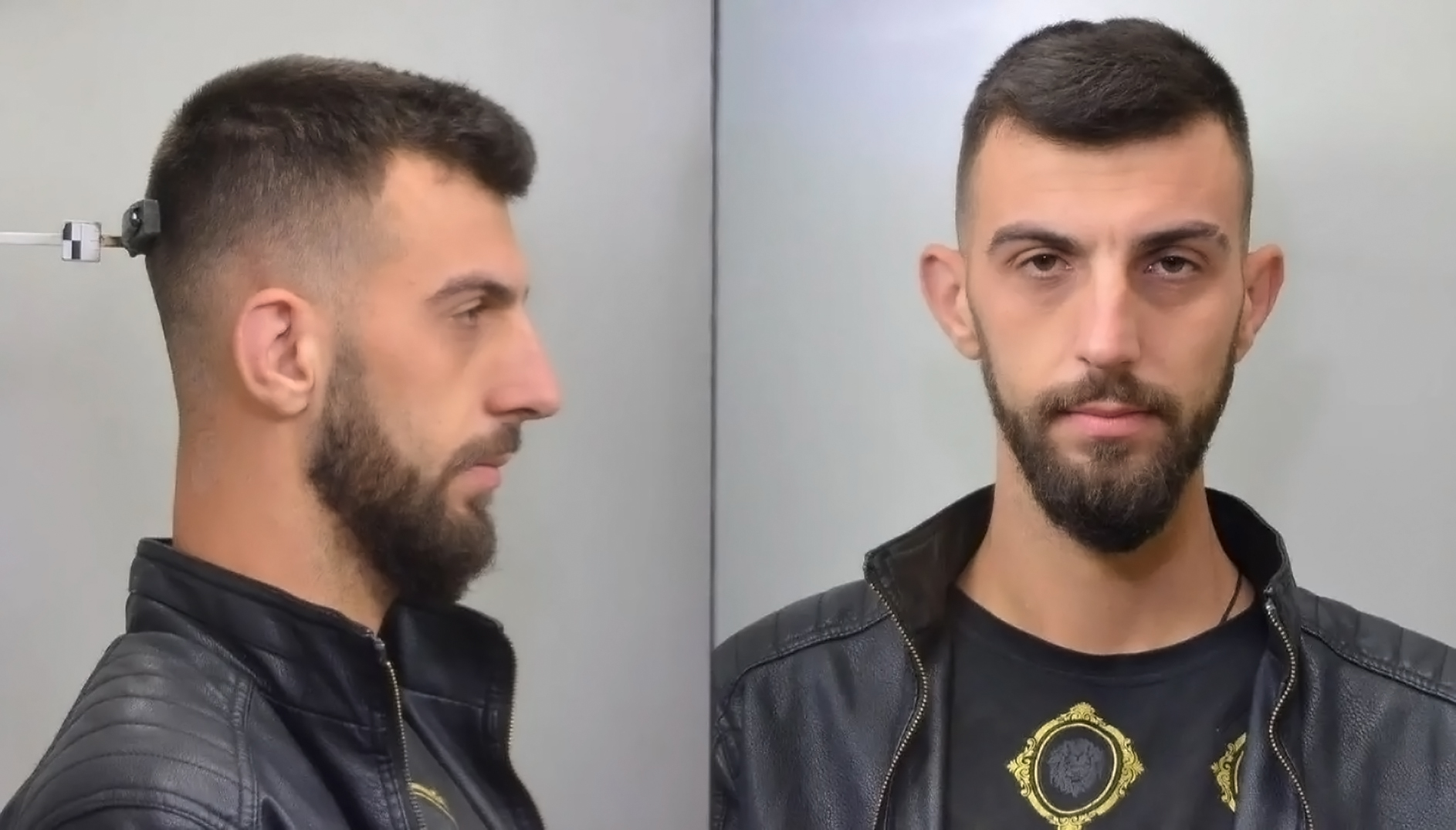 μαφια