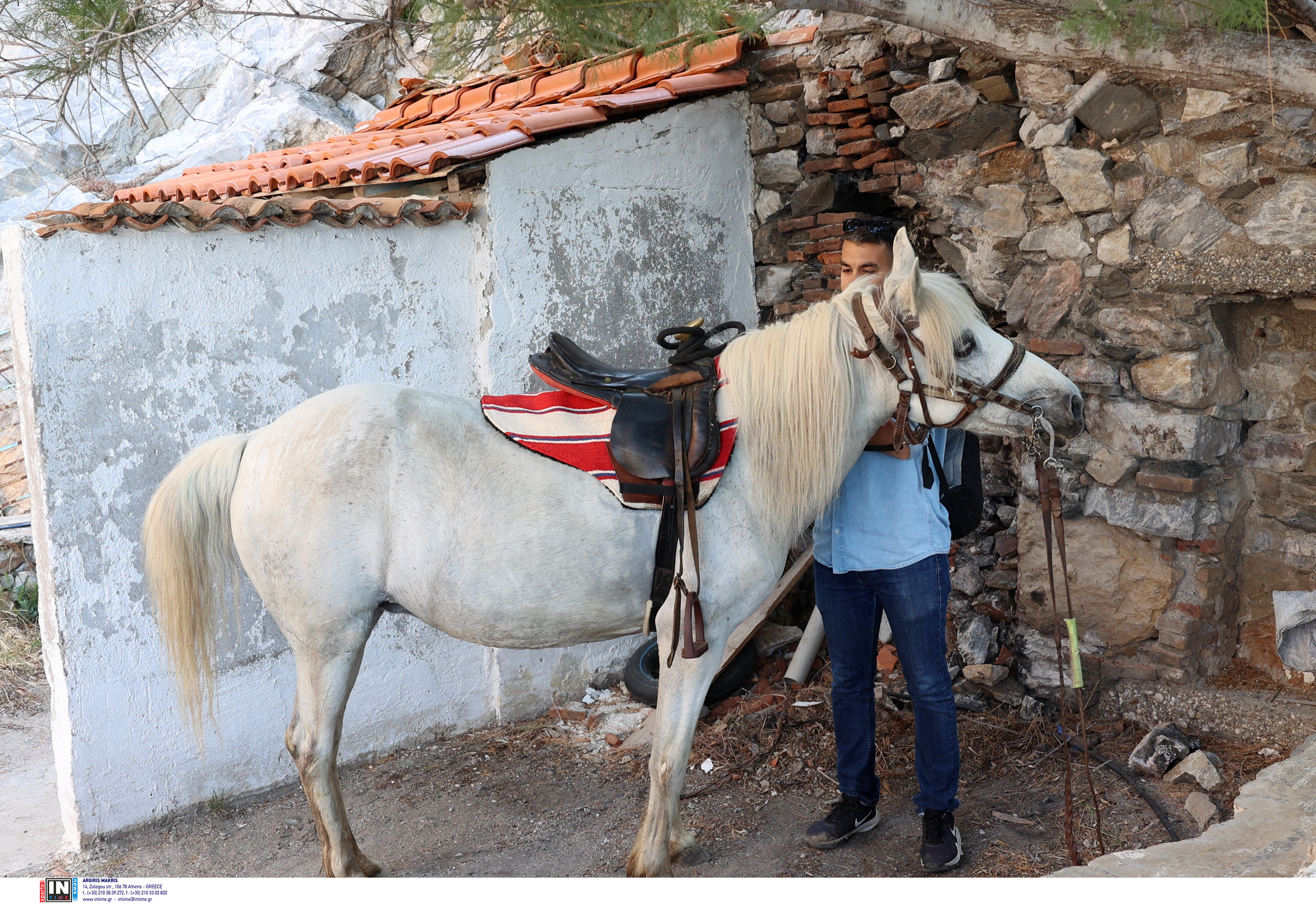 Παναγια