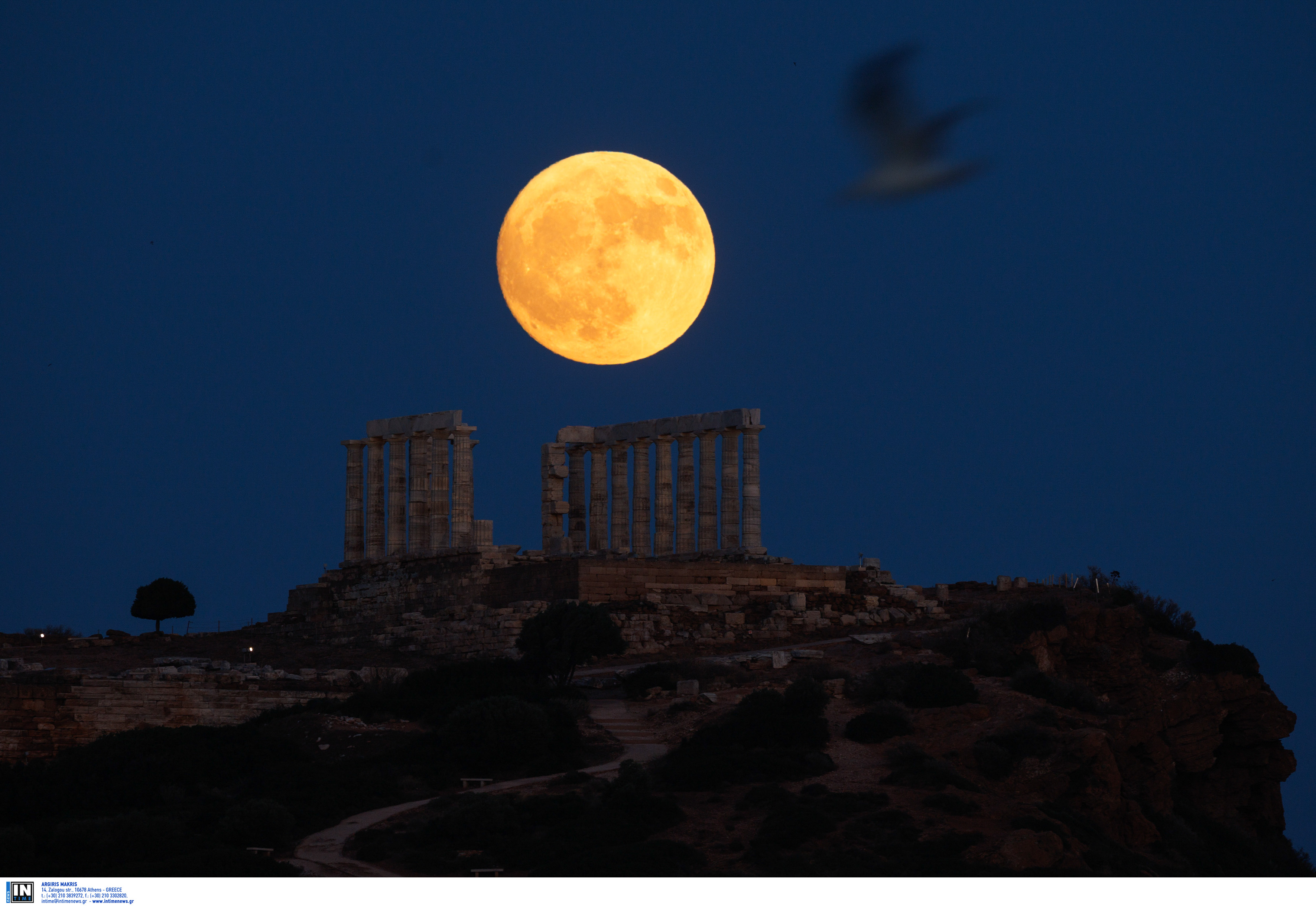 πανσεληνος