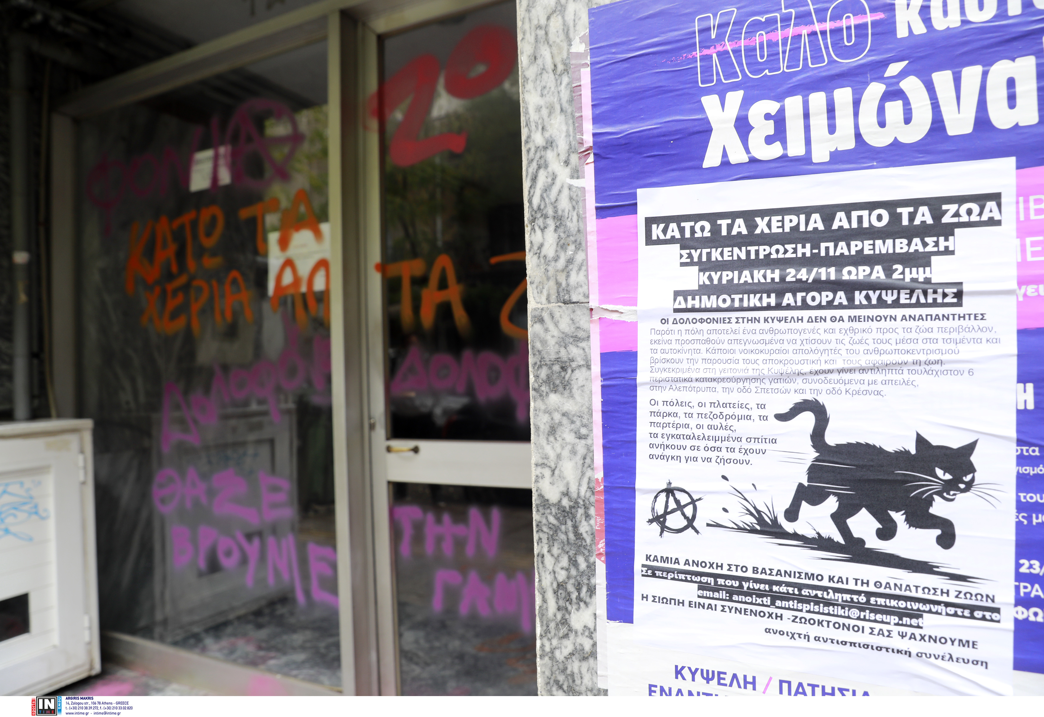 κυψελη