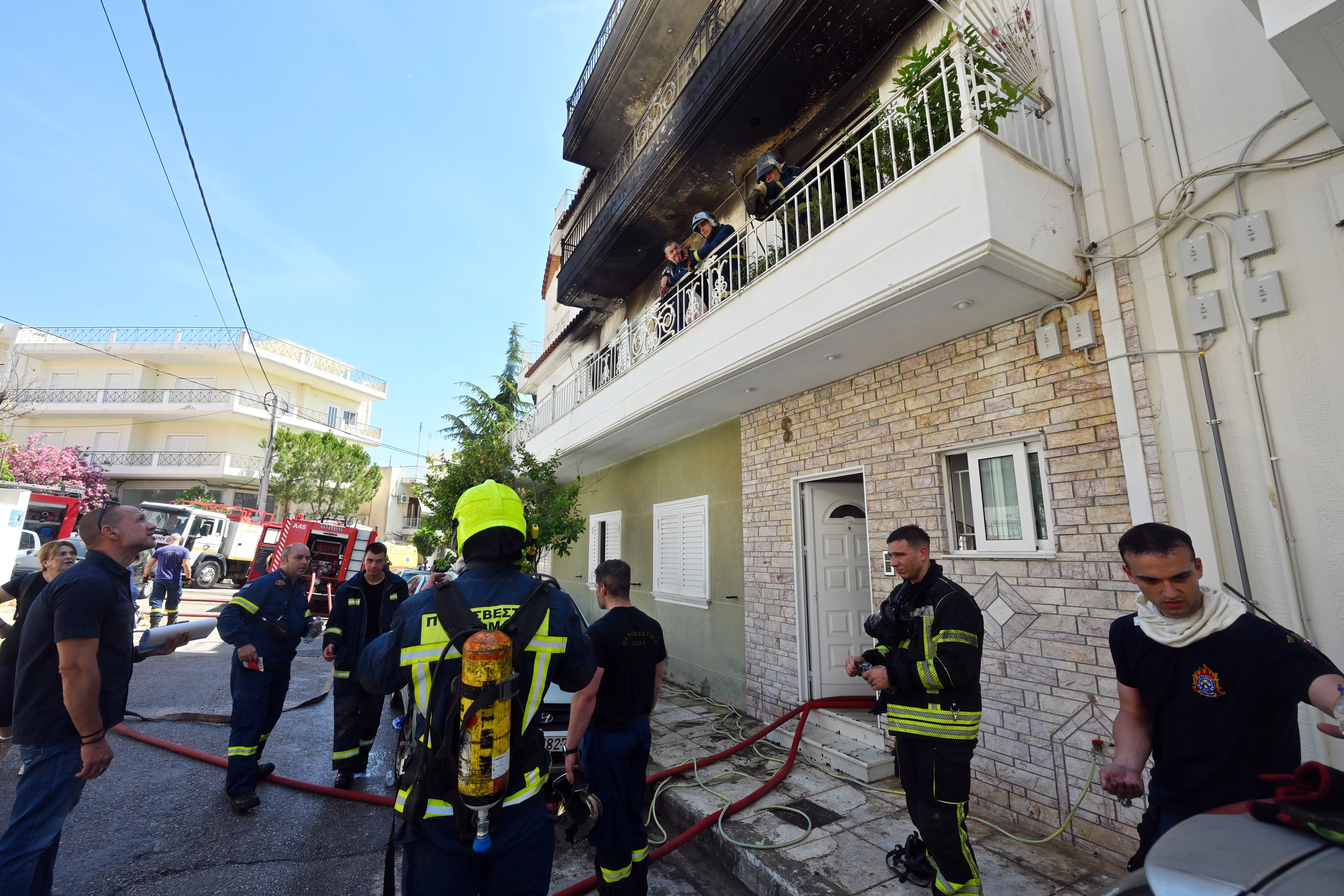 κορυδαλλος