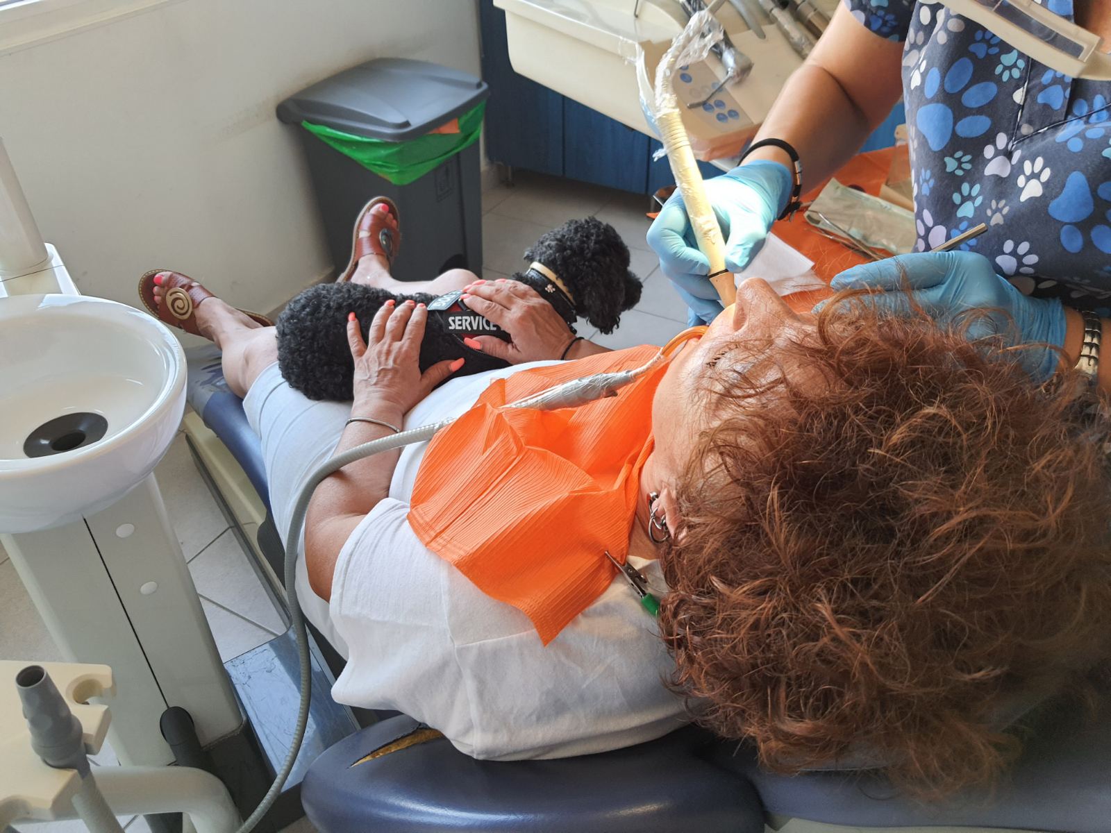 αριελ