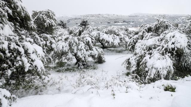 ΧΙΟΝΙΑ