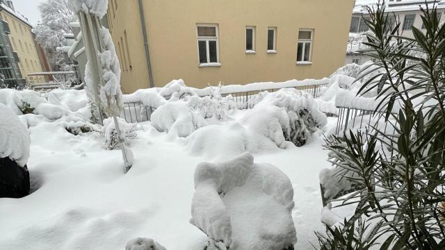 ΓΕΡΜΑΝΙΑ