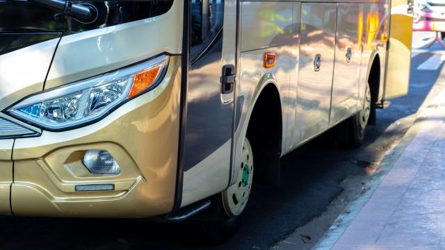 bus