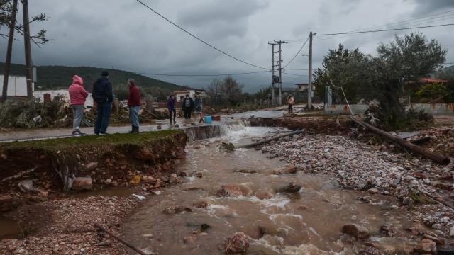 μανδρα