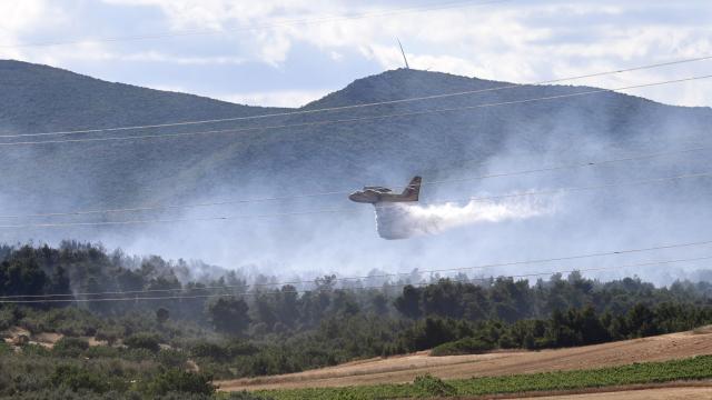 καναντερ