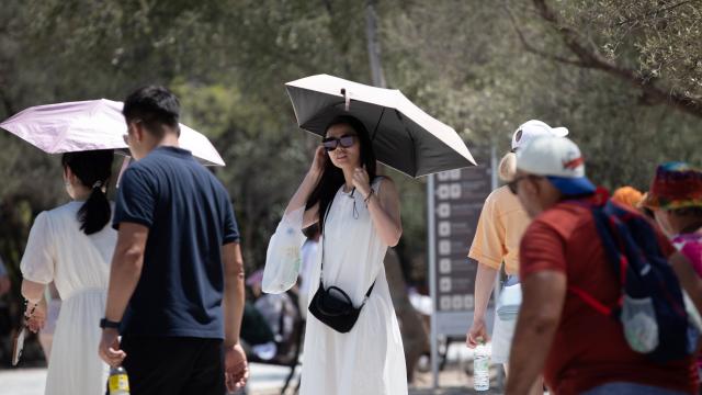 ζεστη