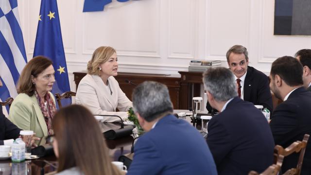 ΜΗΤΣΟΤΑΚΗΣ