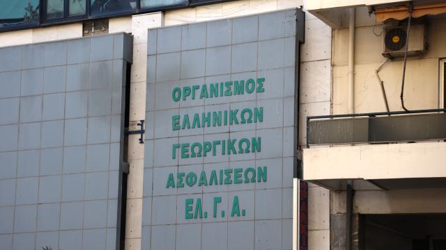 ελγα