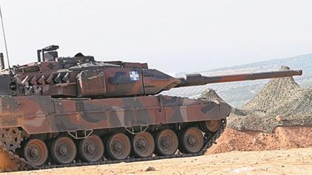 leopard