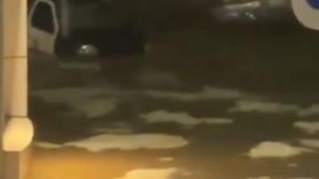 μαλαγα
