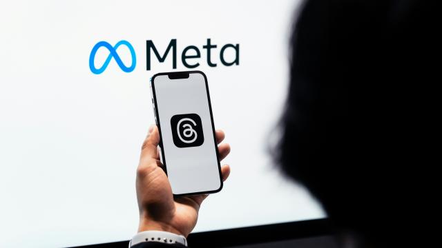 meta 