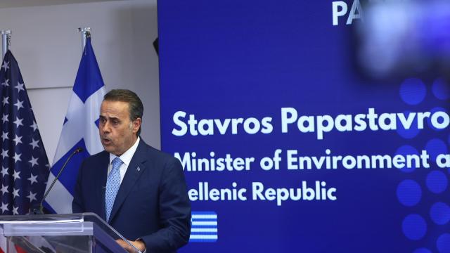 παπασταυρου