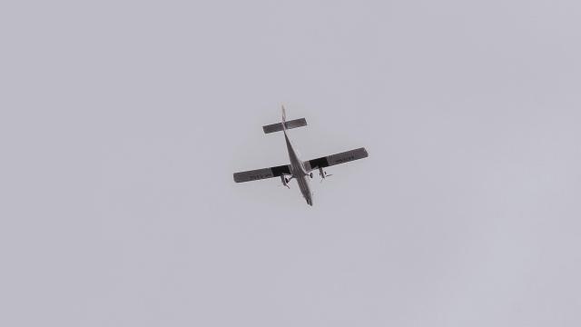 drone
