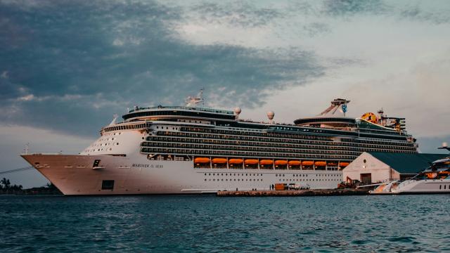 cruise