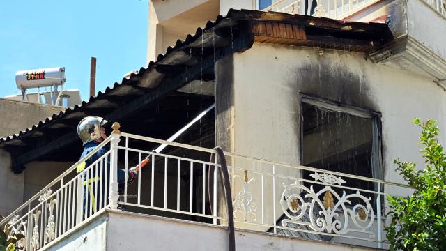 κορυδαλλος