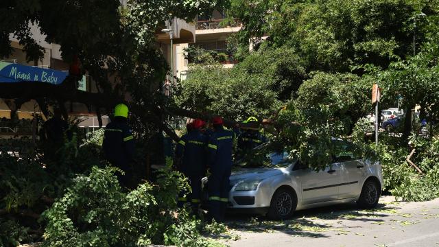 ΜΙΧΑΛΑΚΟΠΟΥΛΟΥ