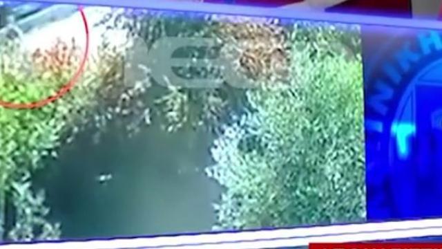 σταυρουλα