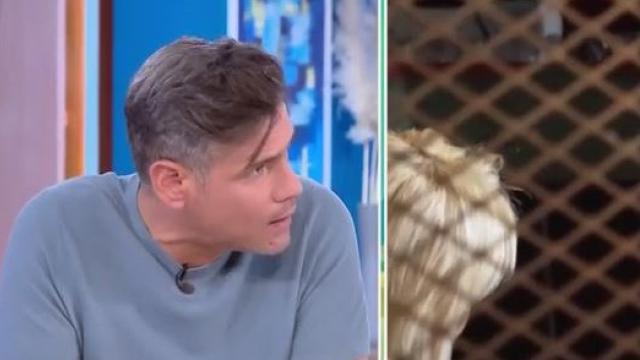 ουγγαρεζος