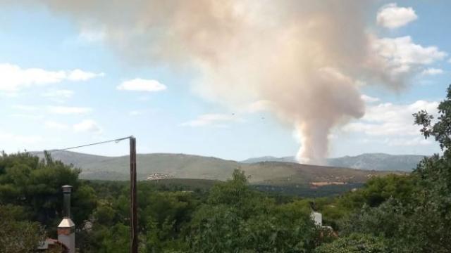 οινοη
