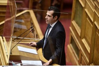 Πλεύρης