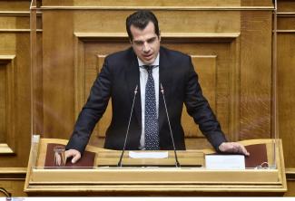 Πλεύρης
