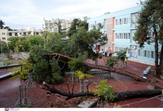 Δέντρο