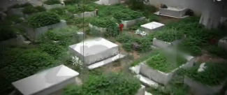νεκροταφείο