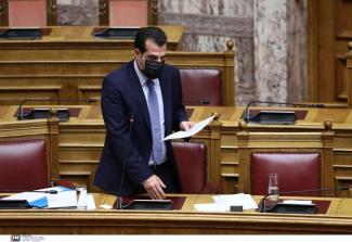 ΠΛΕΥΡΗΣ