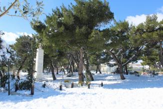 ΧΙΟΝΙΑ
