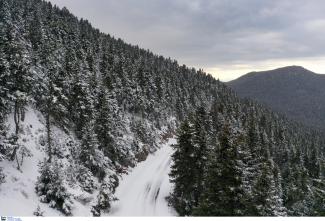 ΧΙΟΝΙΑ