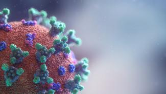 mRNA