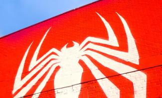 SPIDER MAN