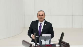 ΤΣΑΒΟΥΣΟΓΛΟΥ