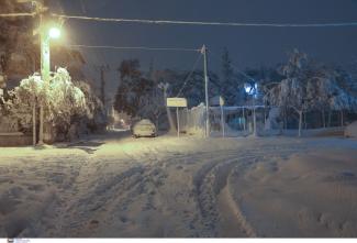 ΧΙΟΝΙΑ