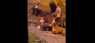 αστεγοσ