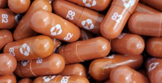 merck