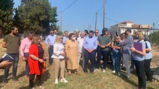 ΛΙΝΑ