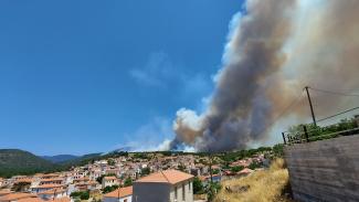 μιτυληνη