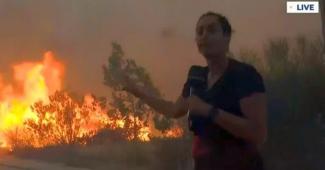 οπεν