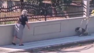ΑΠΑΙΣΙΟΤΑΤΗ