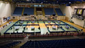 ping pong