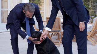 ΜΑΚΡΟΝ
