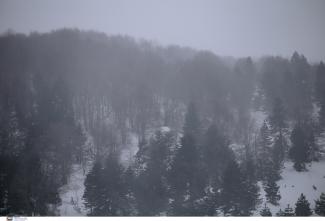 snow