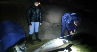 νεκρό δελφίνι