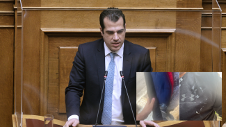 Πλεύρης
